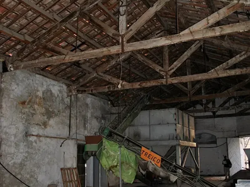 2.2.09_SalonDeLasAceitunas