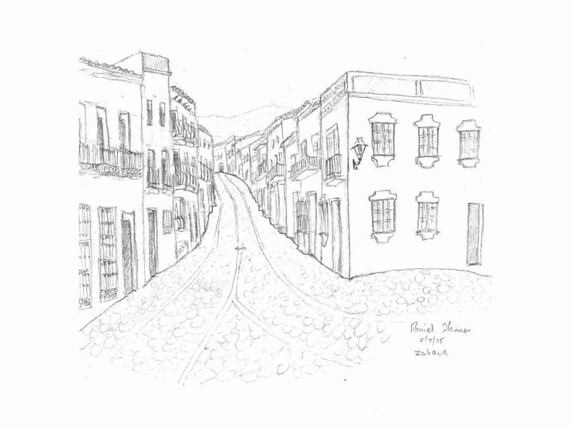 Daniel_Skinner_Zahara_1