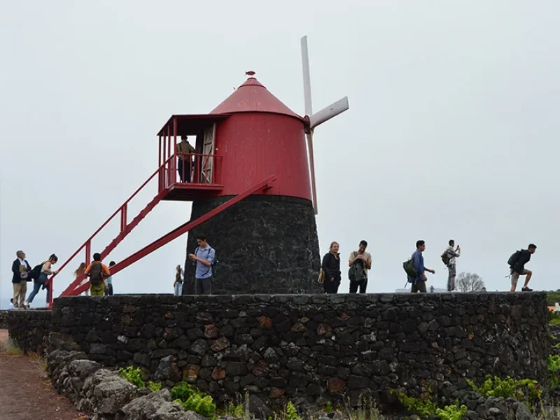 EscuelaVeranoAzores14