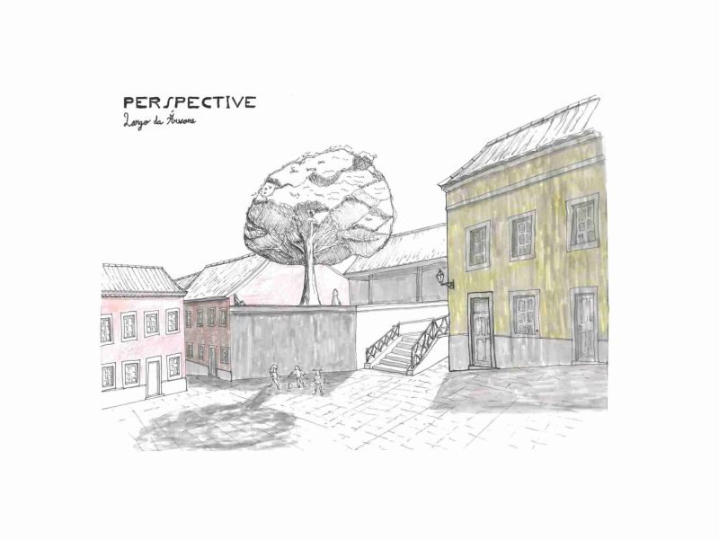Group III_Pavoa_perspective