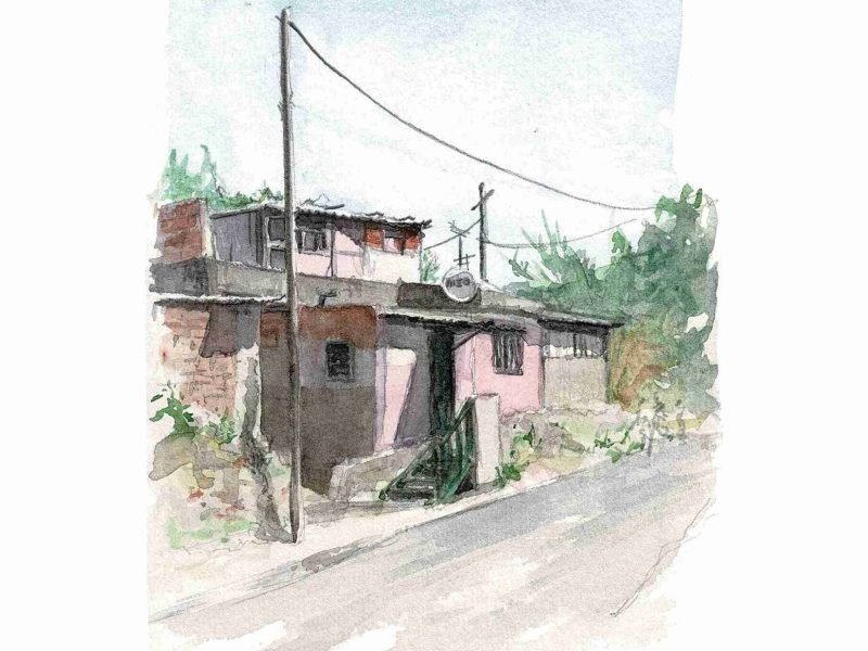 Joseph Vyvlecka_Galinheiras_2