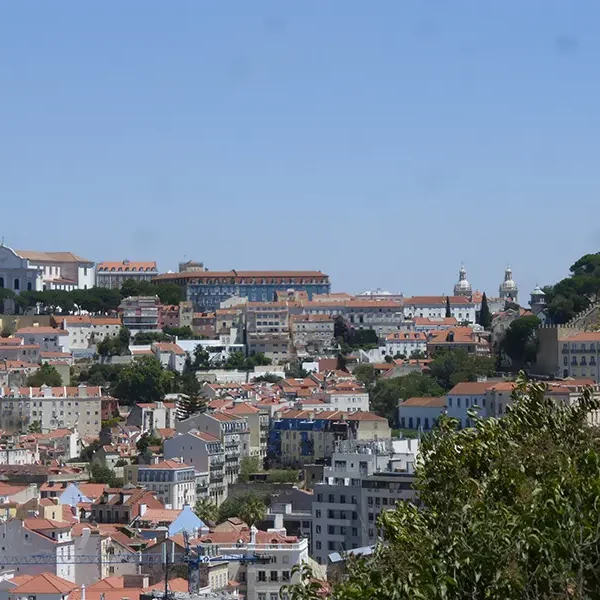 Lisbon Summer School FCCT