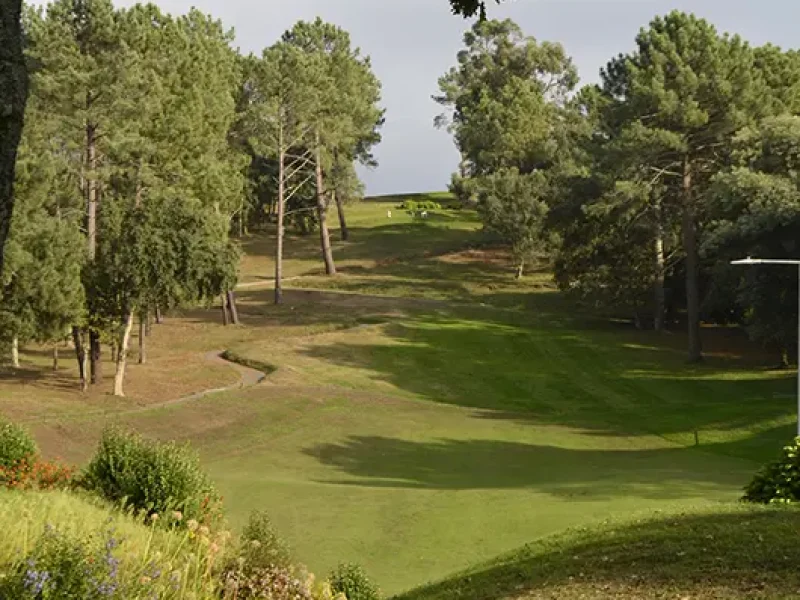 Otros proyectos-Francisco_Calheiros-2025-Pablo_Sevilla-Guillermo_Gil.