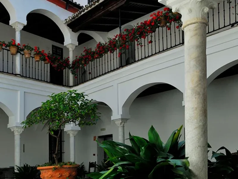 Patio-Casa-Familia-Padilla