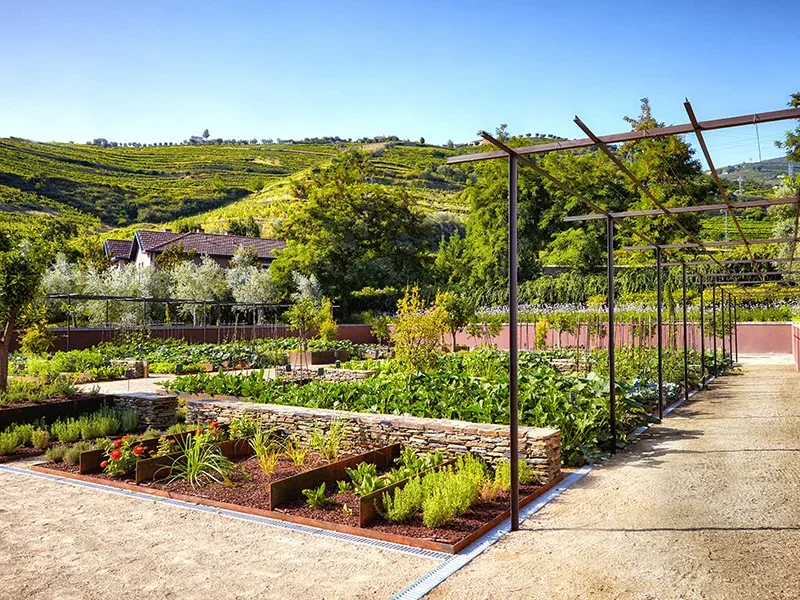 SixSenses-organic-garden